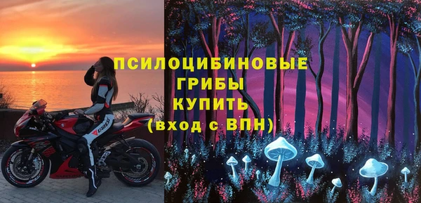 индика Верхнеуральск