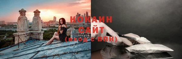 стаф Туринск